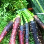 Légumes frais tous les jours